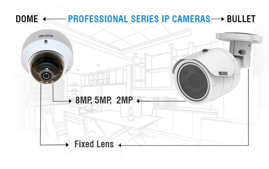 Professional Series Dome Camera